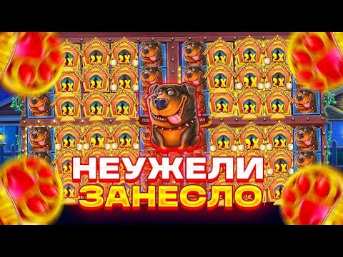 Видео: ДА НУ?КАК ЭТО?ЗАКРЫЛО ФУЛ ПОЛЯНУ СОБАК!!!! \ БОНУС В СЛОТЕ \ THE DOG HOUSE  \ заносы недели