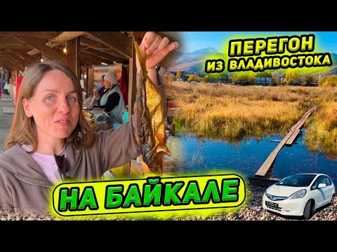 Видео: Перегон Honda Fit из Владивостока. На Байкале - отдых, рум-тур, вкусный омуль. Местный рынок еды