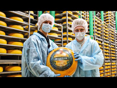 Видео: Секреты Кобринского мороженного: экскурсия для Динамо-Брест