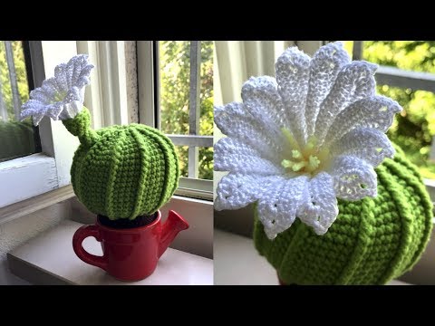 Видео: МК: КАКТУС С ЦВЕТКОМ КРЮЧКОМ. ДЕКОР КРЮЧКОМ. CROCHET CACTUS