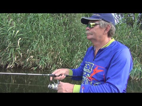 Видео: Константин Кузьмин. Малая река. Голавль, язь и другие... (часть вторая)