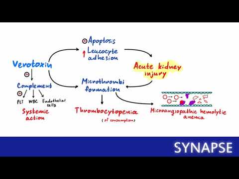 Видео: USMLE Step 1 - Гемолитико-уремический синдром