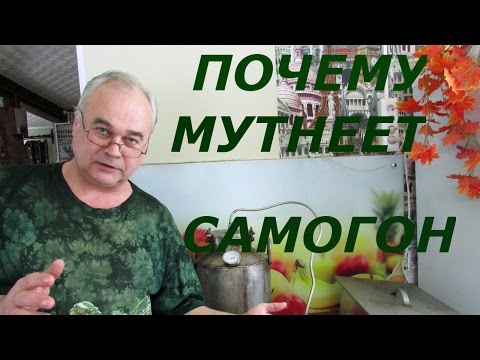 Видео: Почему мутнеет самогон? / Самогоноварение / #СамогонСаныч