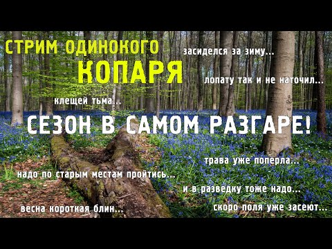 Видео: Сезон в самом разгаре, новые интересные находки радуют копарский глаз!