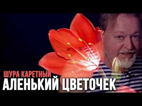Видео: Шура Каретный - Аленький цветочек