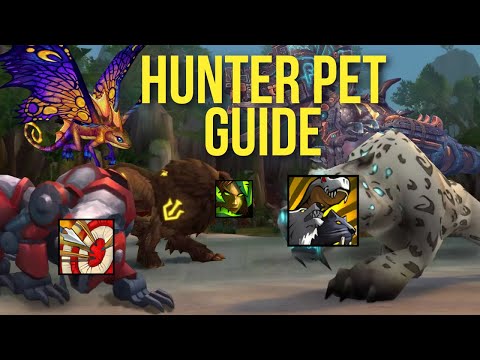 Видео: Руководство по лучшим питомцам охотника (патч 11.2) | Питомцы с максимальным уроном в секунду, вс...