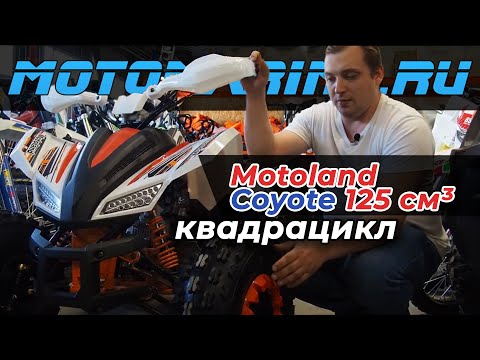 Видео: Обзор детского квадроцикла Motoland Coyote 125 кубов