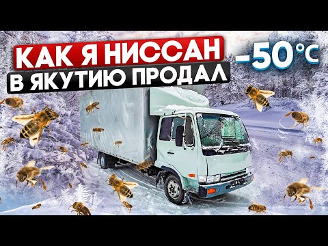 Видео: КАК Я NISSAN С ПЧЕЛАМИ В ЯКУТИЮ ПРОДАВАЛ!