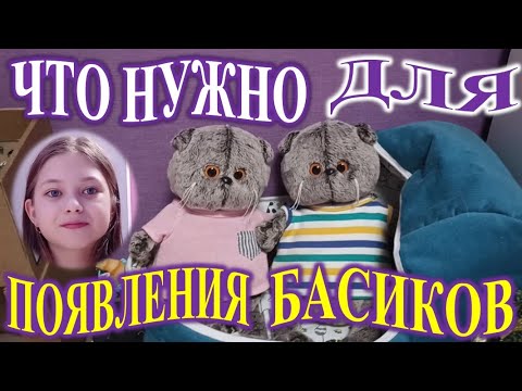 Видео: ЧТО НУЖНО ДЛЯ ПОЯВЛЕНИЯ БАСИКА!