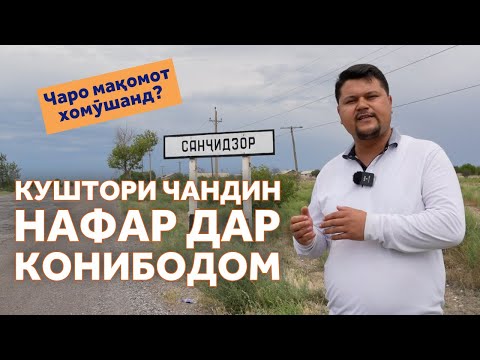 Видео: Дар Конибодом чӣ мегузарад? Қатли 6 узви ду оила