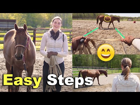 Видео: КАК РАБОТАТЬ НА КОРДЕ С ЛОШАДЬЮ ДЛЯ НАЧИНАЮЩИХ 😊 🐴 | Без круглой ручки