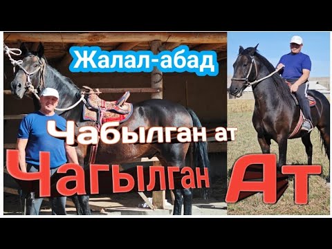 Видео: Чагылган