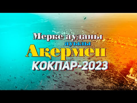 Видео: Мерке ауданы Ақермен ауылы Ізбасар Бекдаулет мырза берген көкпар 13.05.2023жыл