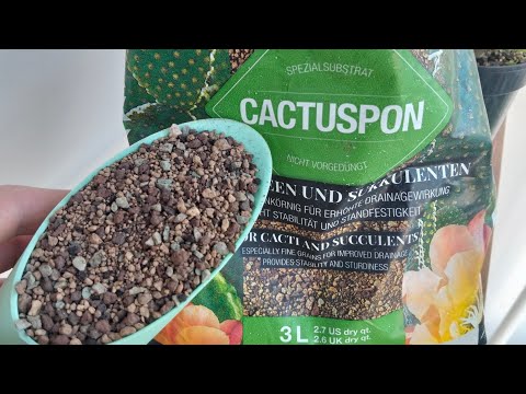 Видео: Короткий обзор на грунт CACTUSPON