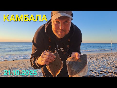 Видео: Ловим камбалу в октябре. Вечером и ночью. #камбала 