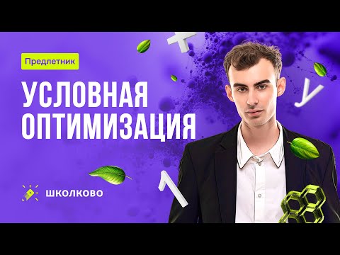 Видео: Условная оптимизация. Математика для экономистов