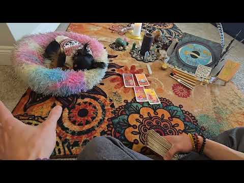 Видео: Просто продолжайте плыть. Вы почти на месте!