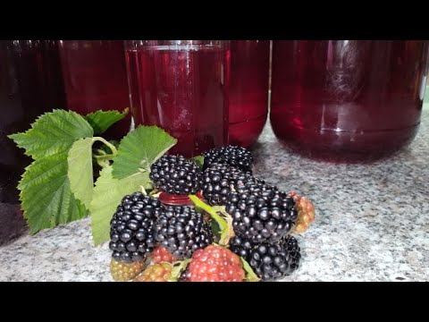 Видео: 📌ЕЖЕВИКА 🍇 как СВЕЖАЯ ☑️ компот за Пять Минут 🤫