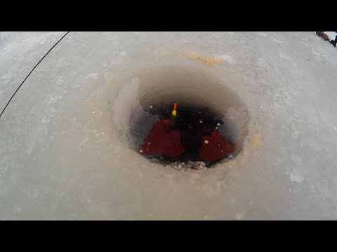 Видео: ИЗГОТОВЛЕНИЕ УДОЧКИ ДЛЯ ЗИМНЕЙ ЛОВЛИ НА ПОПЛАВОК