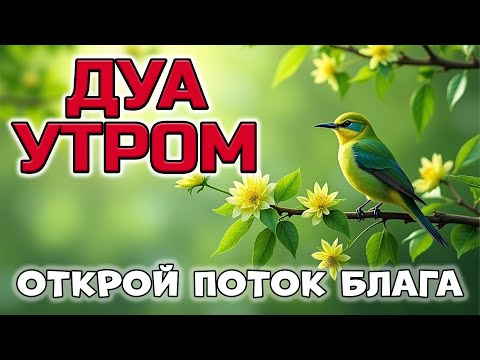 Видео: ДЛЯ ПРИТОКА РИЗКА И УДАЧИ! 🤲✨