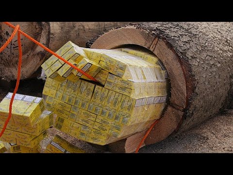 Видео: ГААЛИЙНХАН  НҮДЭНДЭЭ Ч ИТГЭЭГҮЙ...