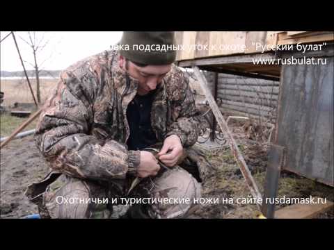 Видео: Подготовка подсадных уток к охоте. Нож "Профессиональный таежный № 1"