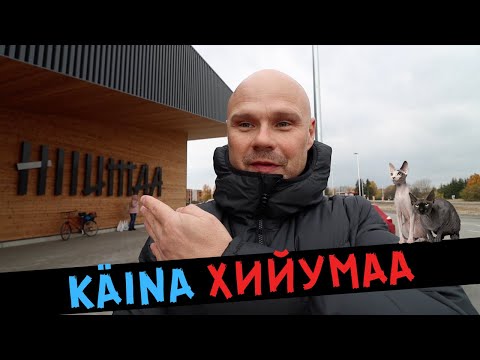 Видео: Käina Хийумаа что может быть УЮТНЕЙ?
