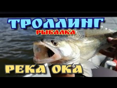 Видео: Рыбалка начало сентября,Троллинг в два спиннинга