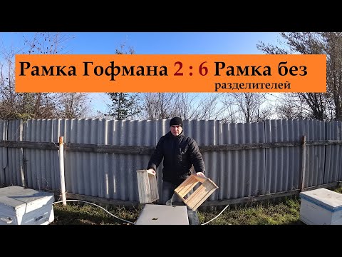 Видео: 6 минусов рамки Гофмана в сравнении с простой рамкой на пасеке