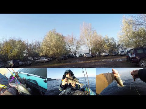 Видео: ЗА СУДАКОМ В НИЗОВЬЯ ВОЛГИ. 03.11.25.