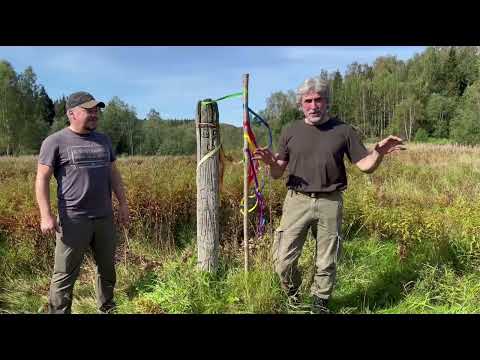 Видео: Сказочный Лес прокатка маршрута 4х4