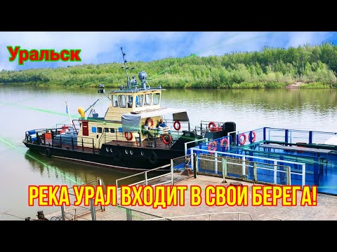 Видео: Река Урал, большая вода ушла!