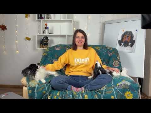 Видео: Какую породу выбрать? Плюсы, минусы, подводные камни.