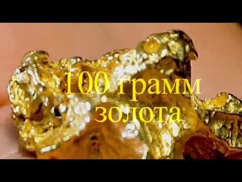 Видео: 100 г золота за полгода!
