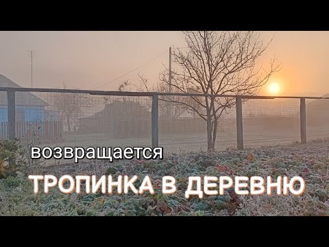 Видео: "Тропинка в деревню" возвращается. 