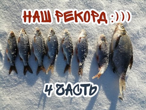 Видео: Рыбалка с треском льда на Волчихинском водохранилище. Жена была в ужасе:)))))