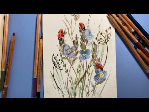 Видео: Божьи коровки на траве и цветах. Рисуем акварельными карандашами