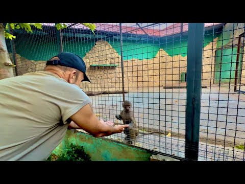 Видео: Люся-ЛЮБИМИЦА Елисея, он ей позволяет все, даже держать за руки меня и Влада!!!