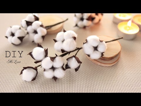 Видео: 🌺 ЦВЕТОК ХЛОПКА 🌺 КОРОБОЧКА ХЛОПКА 🌺 Сotton Plant