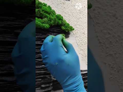 Видео: Как клеить мох, ягель.