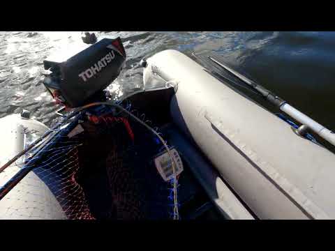 Видео: Свирь в сентябре 22 09 24