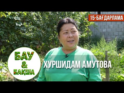 Видео: «БАУ-БАҚША». Хуршидам Амутованың бау-бақшасы | 15-бағдарлама