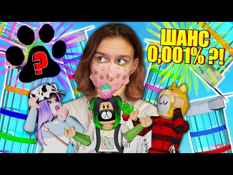 Видео: ИЩЕМ СЕКРЕТНУЮ РАДУЖНУЮ ЛАПКУ В ТАВЕРЕ!
