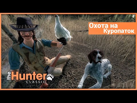 Видео: Охота на куропаток в theHunter: Classic
