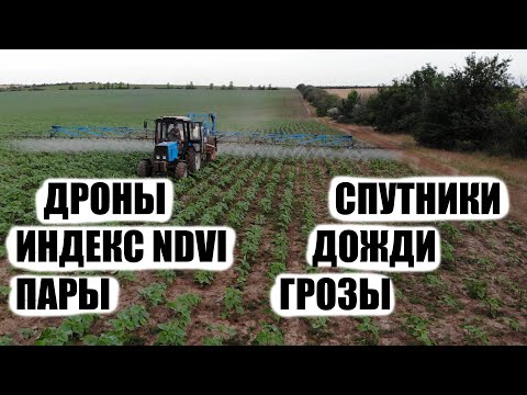 Видео: Риск оправдан!. Накануне уборки 2020. Разбираемся со спутниками, NDVI, дроны, опрыскивание семки
