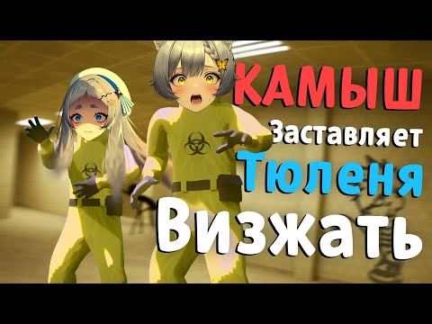 Видео: Камыш заставляет Тюленя визжать @ReraSeal | Highlights Part. 2