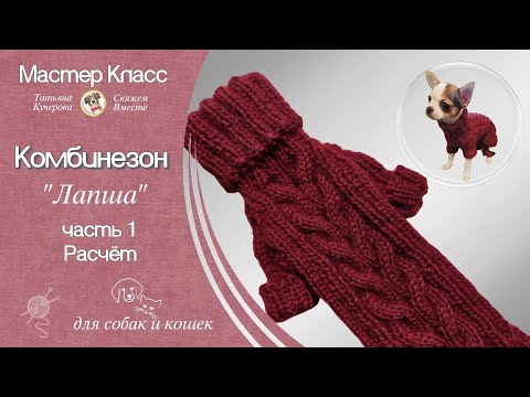 Видео: Комбинезон для собаки, часть 1, лапша, расчёт реглана,