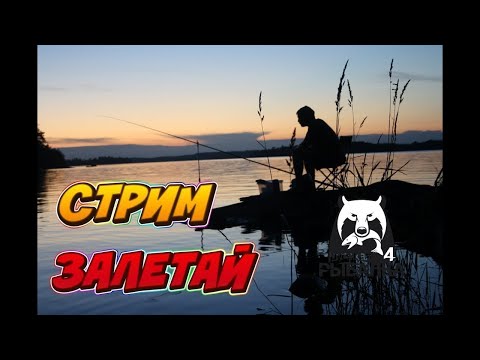 Видео: РР4 стрим Русская Рыбалка 4 стрим проверка фарма в поисках фарма