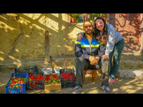 Видео: ЖИВОТ НА СЕЛО: Прибираме всичко от градината + Рецепта  за копривена супа 🌿 | Boho Soulz