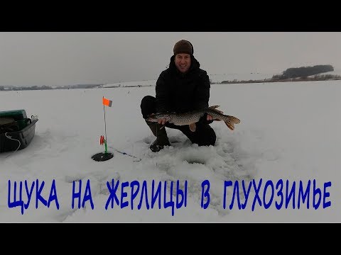 Видео: Ловля щуки на жерлицы в глухозимье